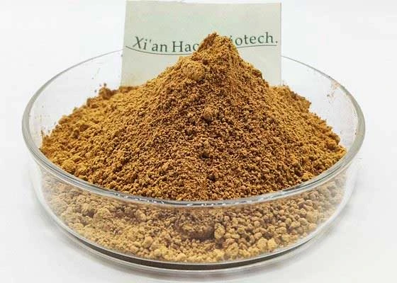 black maca root powder